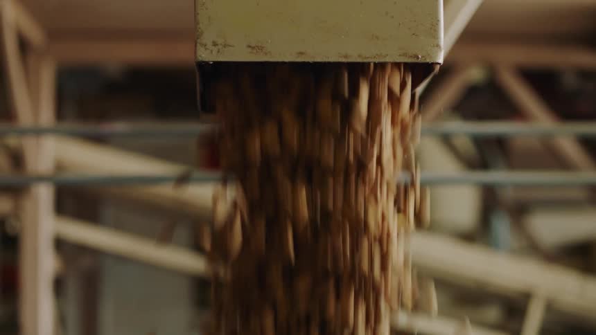 Grains fall from a chute