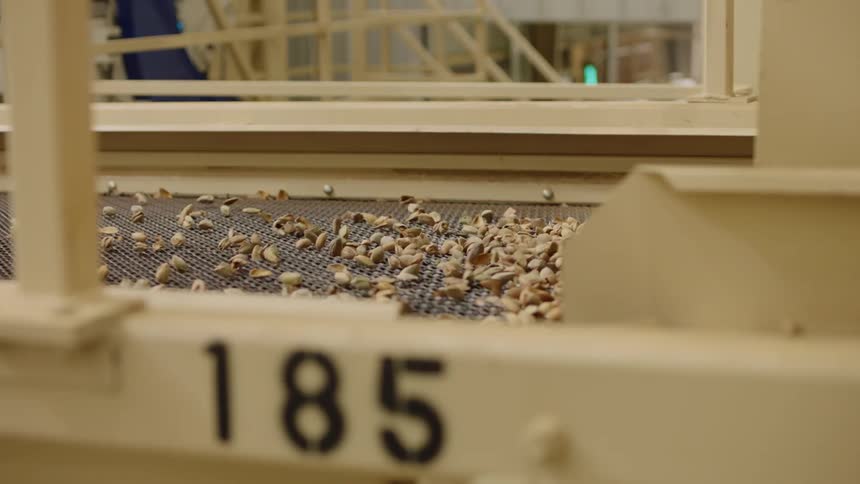 A conveyor belt is moving grain