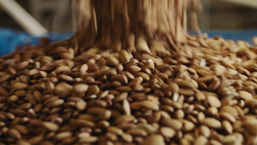 A large cascade of nuts are falling into a tank