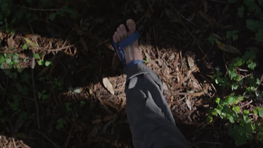 A person wearing sandals walks in a forest