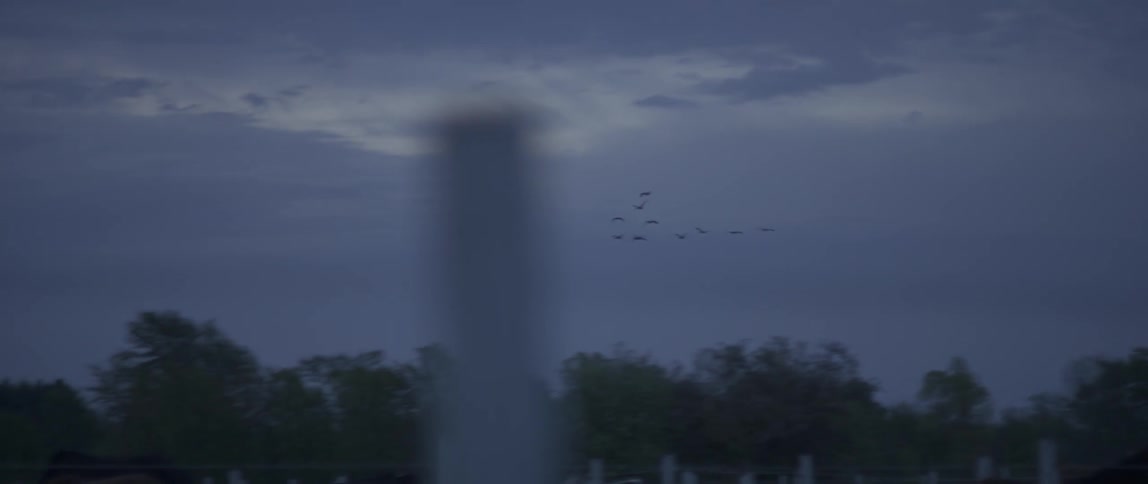 A flock of birds fly in a dusk sky above a horse ranch