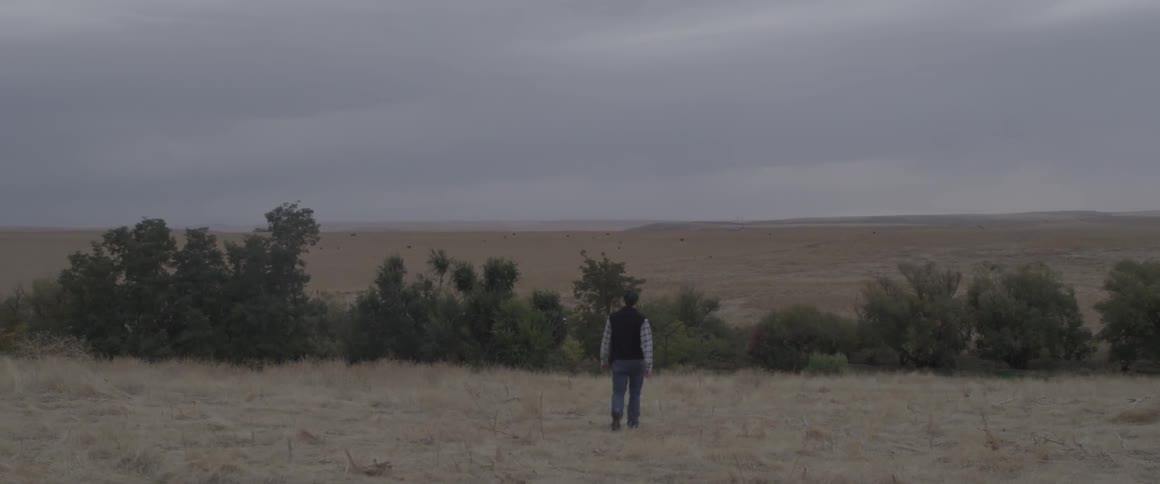 A man walks out into an open field