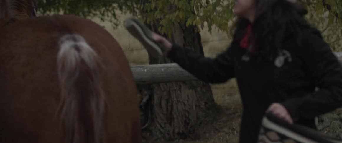 Two women smile and brush a horse