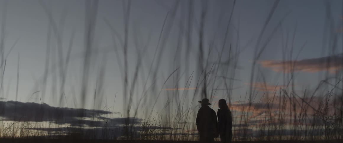 A man and woman walk in a field at dusk