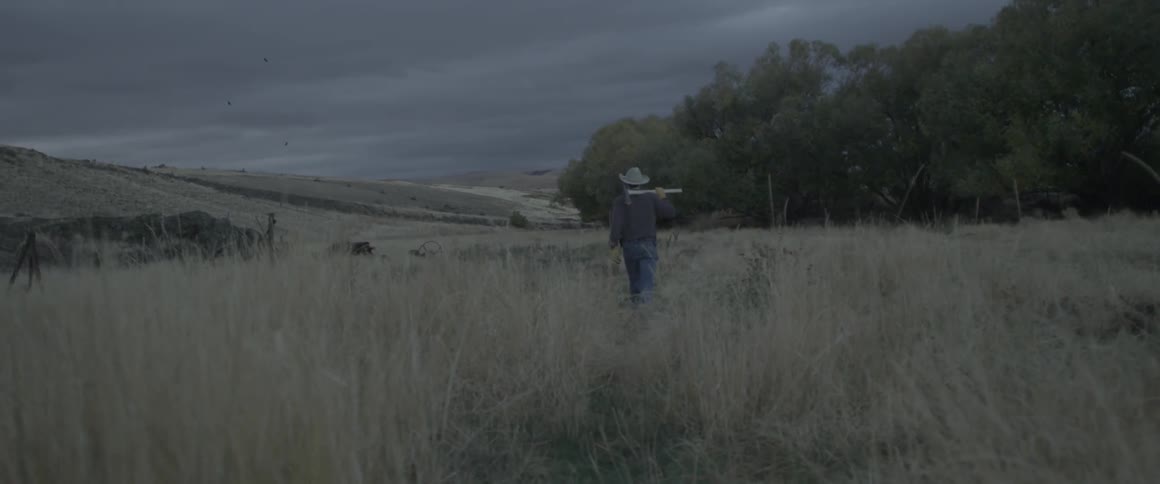 A man is hiking across the field of tall grass