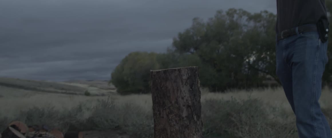 A man chops firewood with an ax