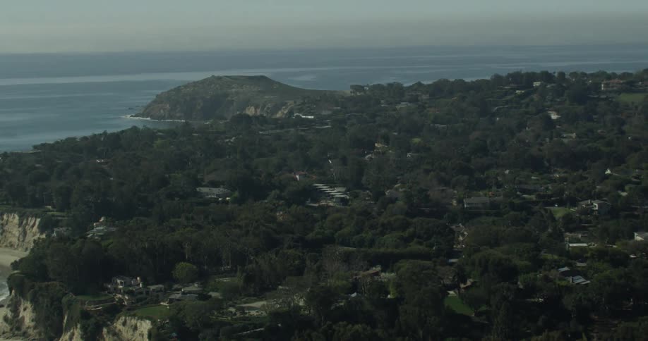 A forest near the beach