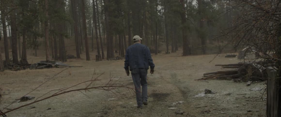 A man points at something while walking through a clearing