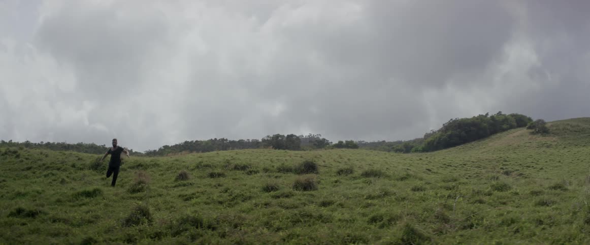 A man is running over a very green meadow