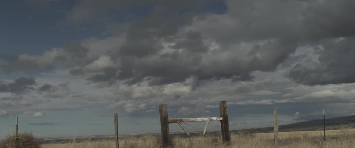A fence stands in a grassy field