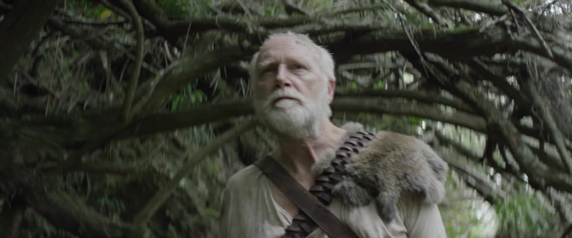 A man travels through thick brush