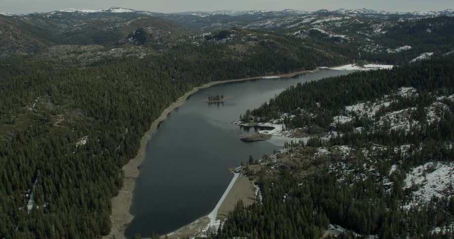 Trees surround a forest lake