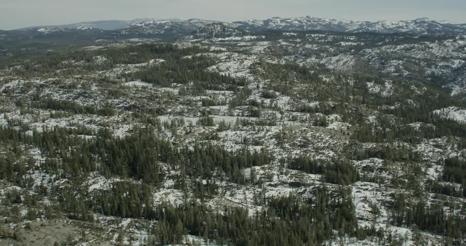 Pine trees and snow cover a mountain landscape in Lake Tahoe, California
