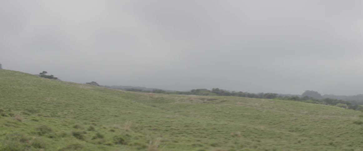 An open field is shown on an overcast day