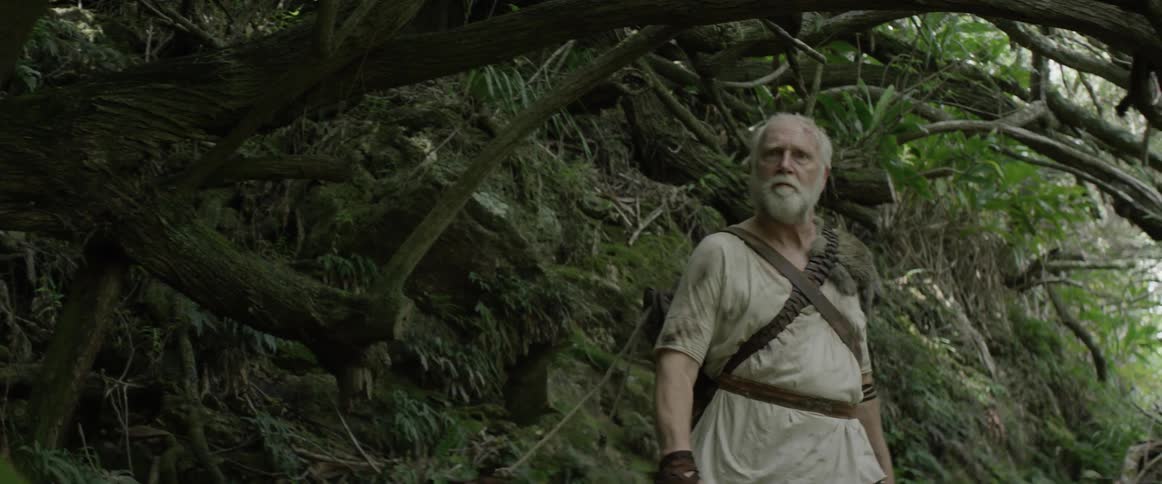 A bearded man walks under trees