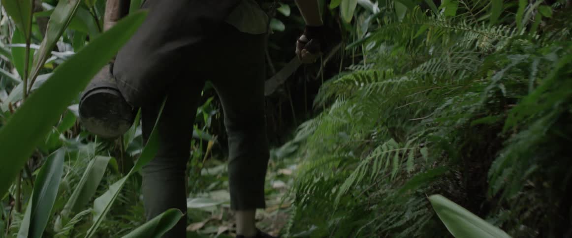 A man carrying a sledgehammer and a machete walks a jungle trail