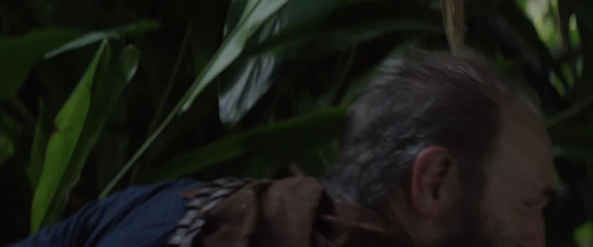A man is hacking his way through jungle growth