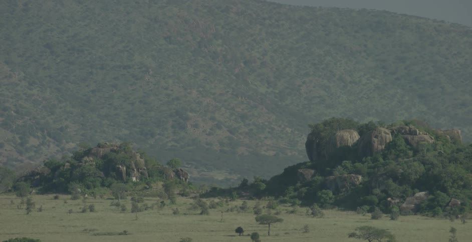Trees cover a hilly and rocky landscape