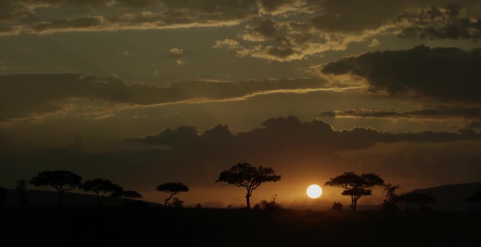 Sun rises over grassy plains