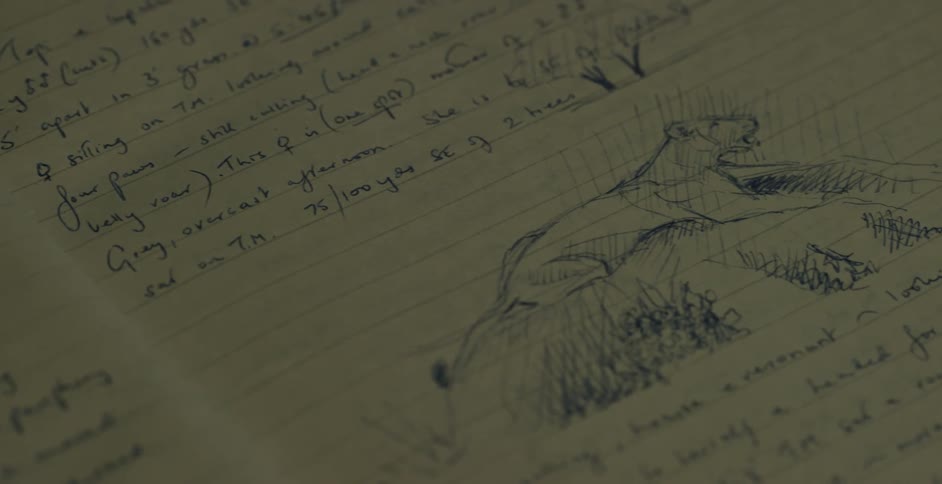 Writing and sketches in a notebook