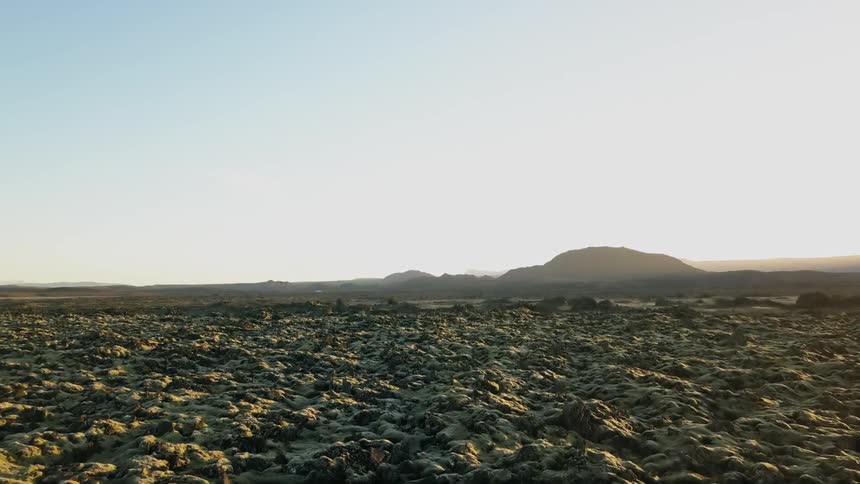 Iceland lava field on a sunny day with lichen