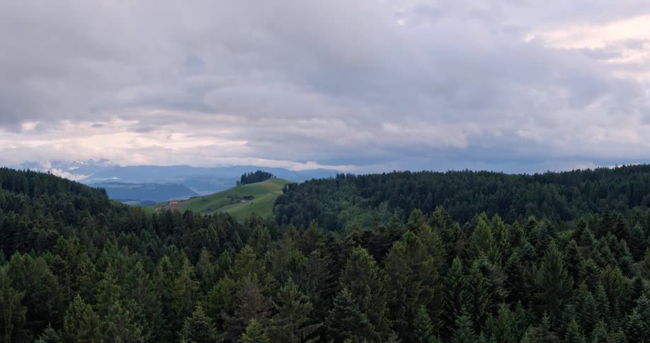 Tall trees cover the hilly landscape