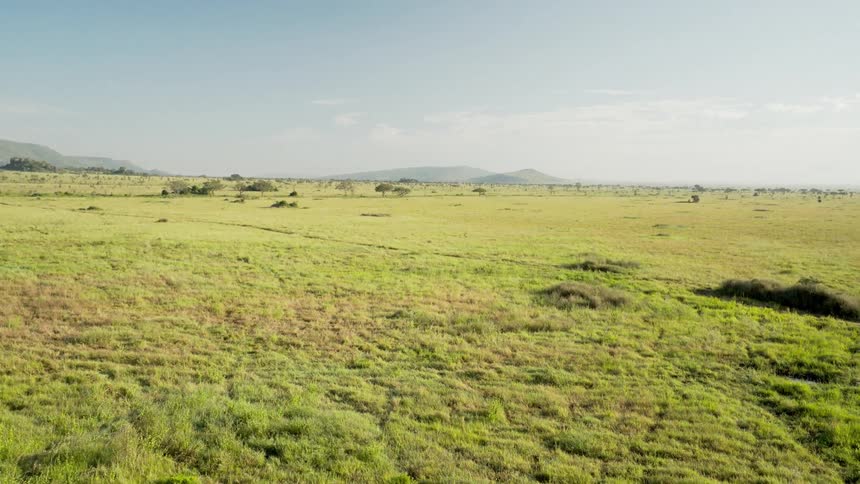 An open expanse is shown on a clear sunny day