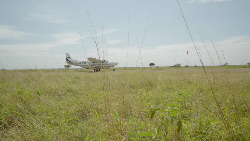A plane is landing on a green field