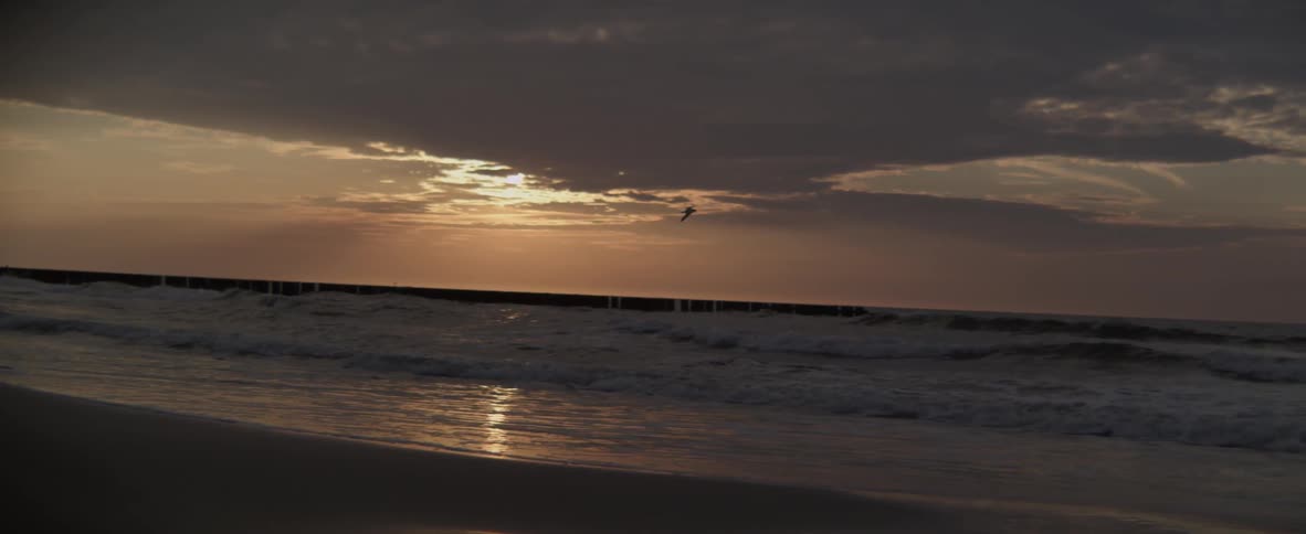 Waves crash onto the shore as a bird flies above