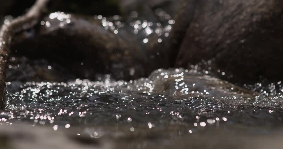 Water flows over top of and through rocks in a stream