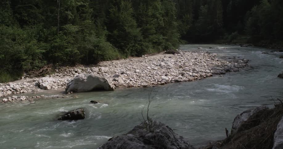A river flows through a forest