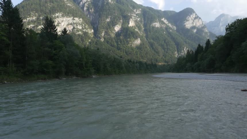 A river through a forest