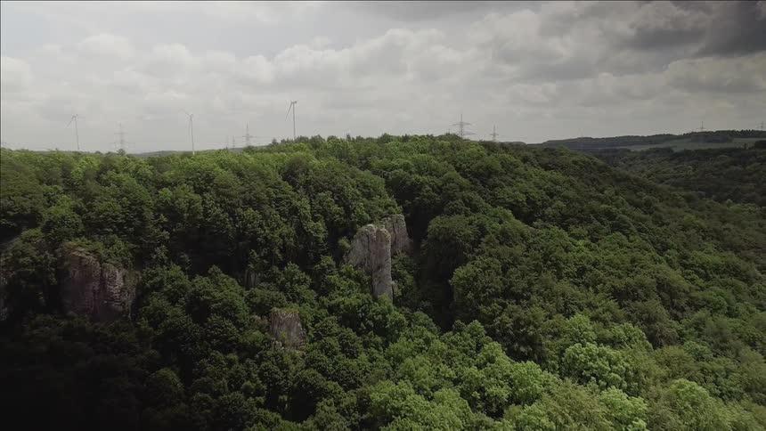 Tree covered land on a cloudy day