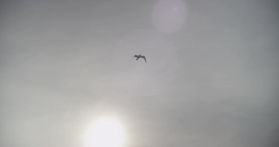 Seagulls fly in a cloudy sky above a jetty during the day