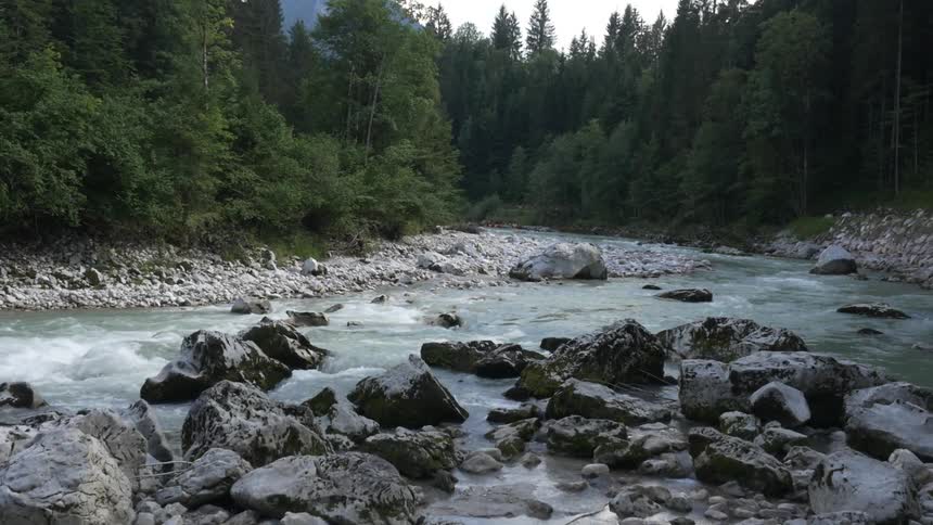 River water flows through a rocky area in a forest