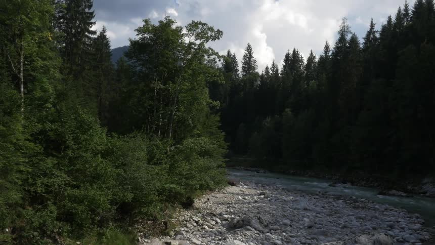 A choppy river near a forest