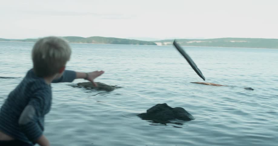 Child throws a piece of wood into a lake
