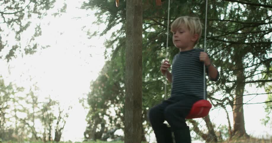 A boy plays on a swing near the trees