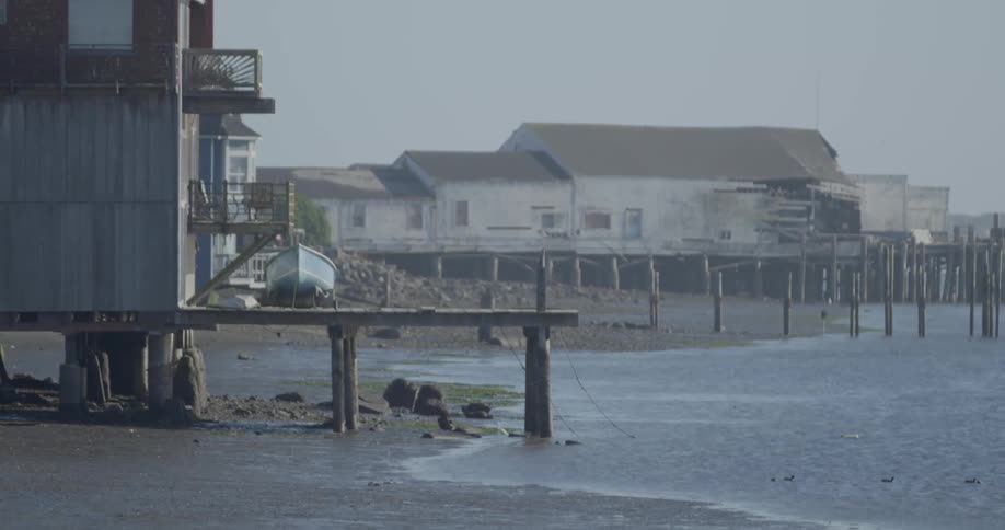 A coast at low tide