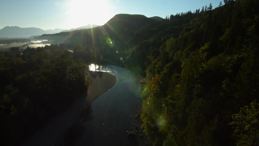 A twisting river through a forest