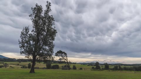 Country field timelapse