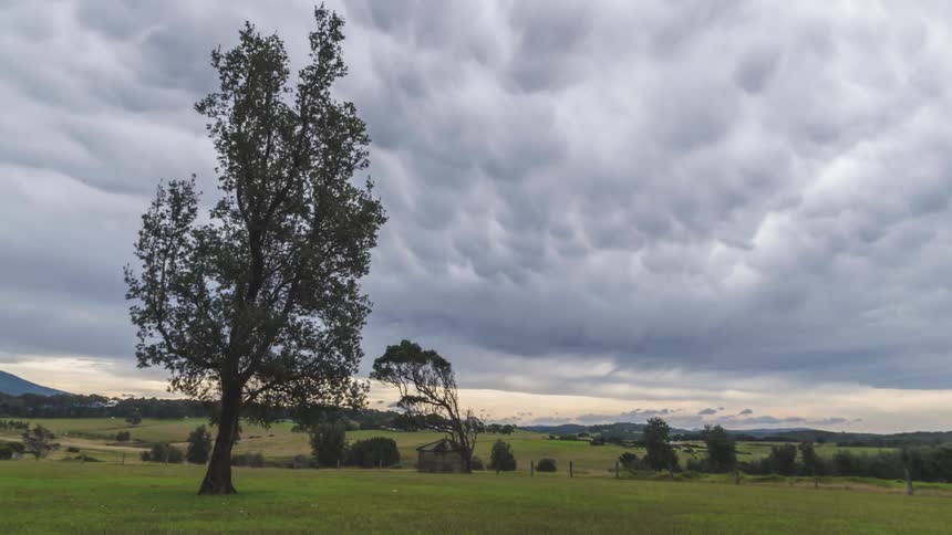 Country field timelapse