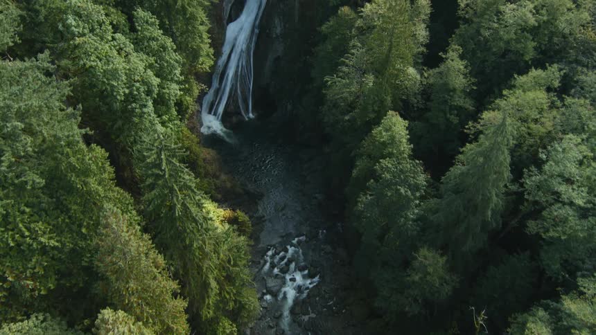 Water flows down a stream in the forest