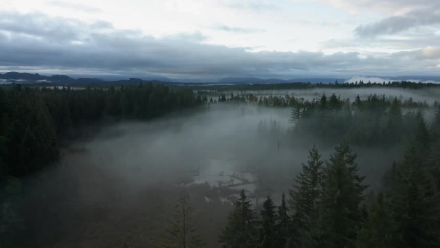 A foggy valley is filmed from a drone