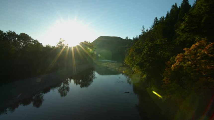 A river through the forest