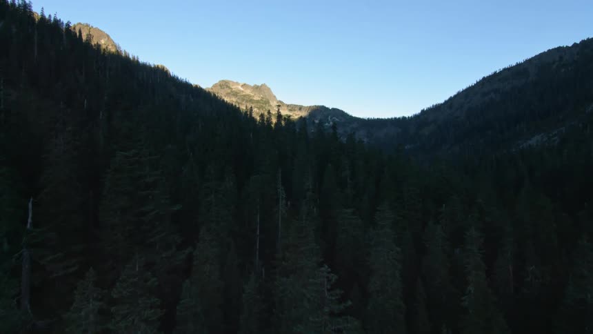 A forest surrounded by mountains