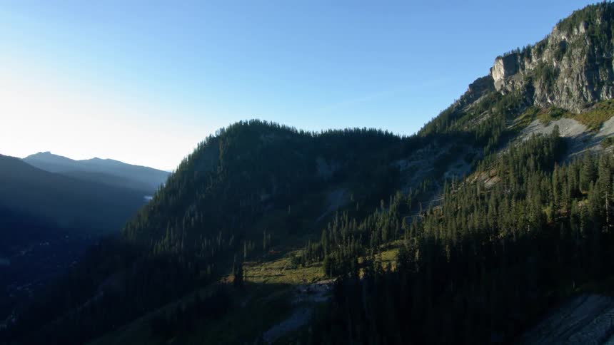 Forested mountains