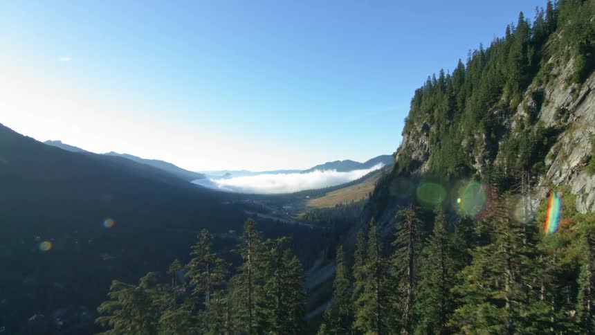 A steep rocky hill lined with trees