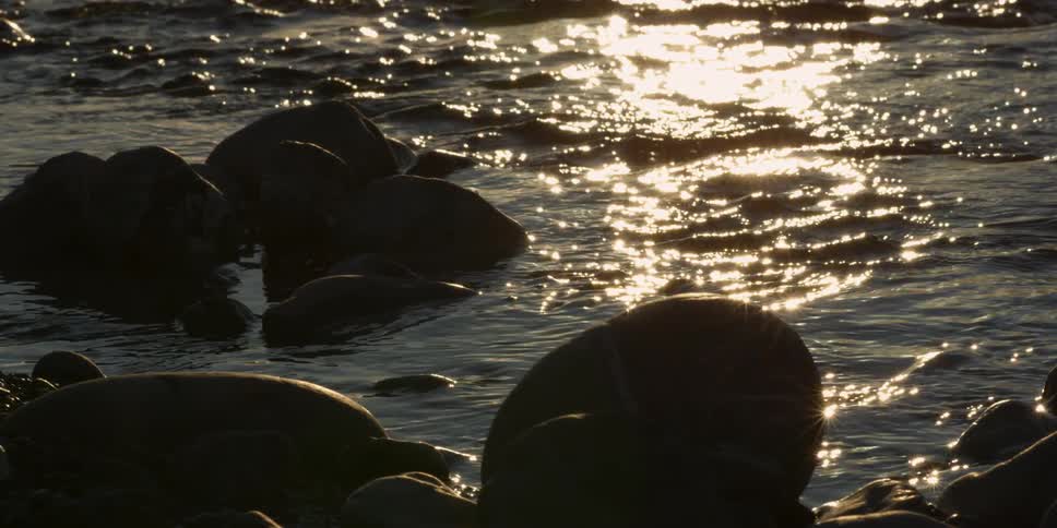 Water coming ashore is filmed close up