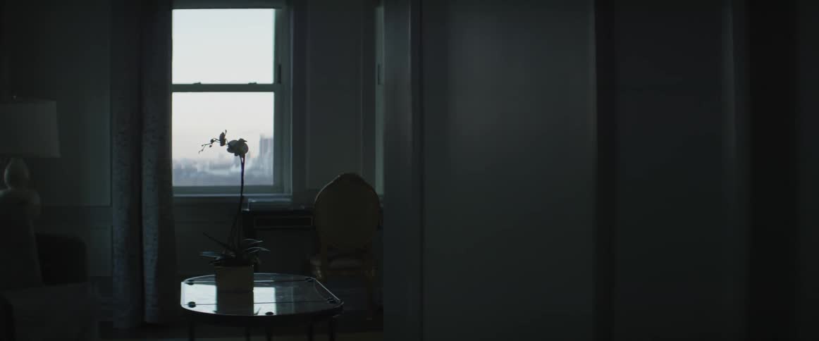 A plant sits next to a desk